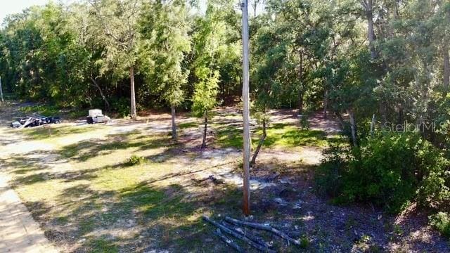 1107 Usina Ave, Interlachen, FL 32148