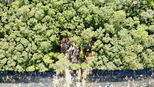 1107 Usina Ave, Interlachen, FL 32148