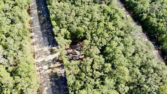 1107 Usina Ave, Interlachen, FL 32148