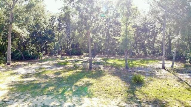 1107 Usina Ave, Interlachen, FL 32148
