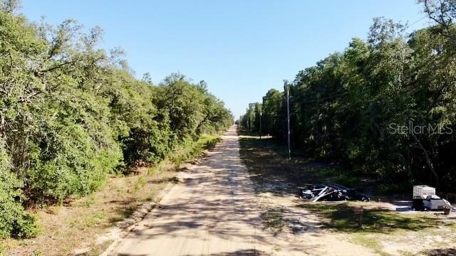 1107 Usina Ave, Interlachen, FL 32148
