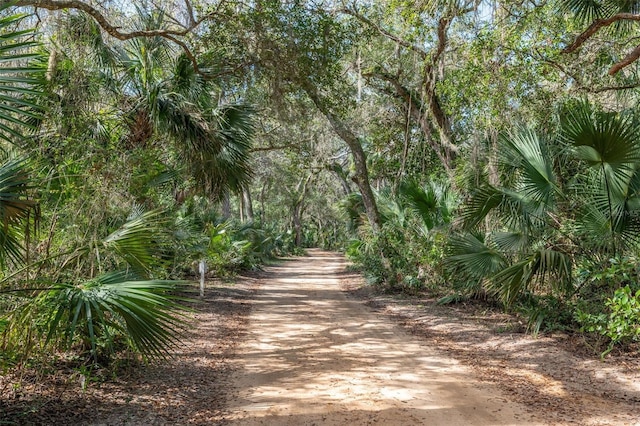 22 San Carlos Dr, Palm Coast, FL 32137 - view of property's community