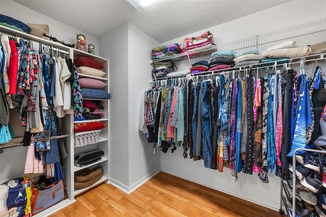 22 San Carlos Dr, Palm Coast, FL 32137 - spacious closet with wood finished floors