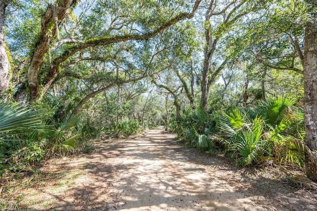 22 San Carlos Dr, Palm Coast, FL 32137 - view of road