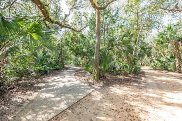 22 San Carlos Dr, Palm Coast, FL 32137 - view of surrounding community