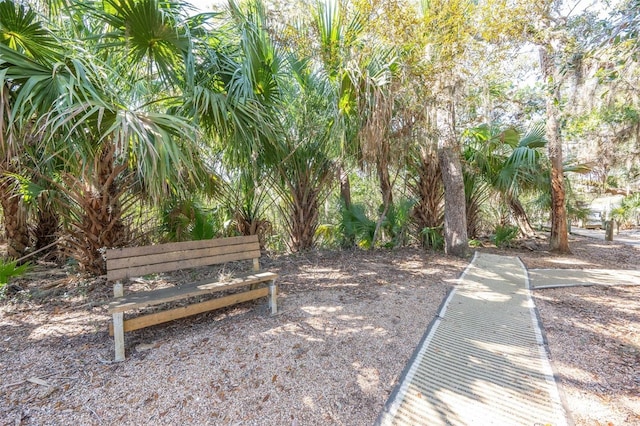 22 San Carlos Dr, Palm Coast, FL 32137 - view of property's community