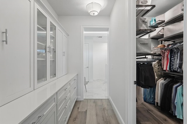 17 Kingfisher Ln, Palm Coast, FL 32137 - spacious closet featuring light wood-type flooring