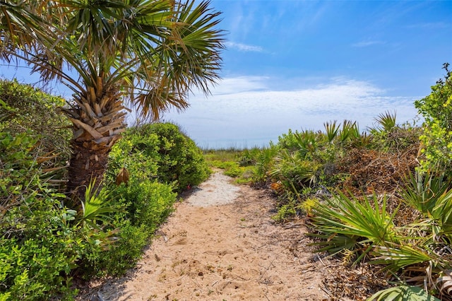 6973 N Oceanshore Blvd, Palm Coast, FL 32137 - view of undeveloped land