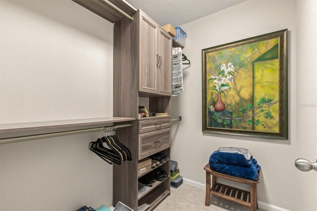 walk in closet with light carpet