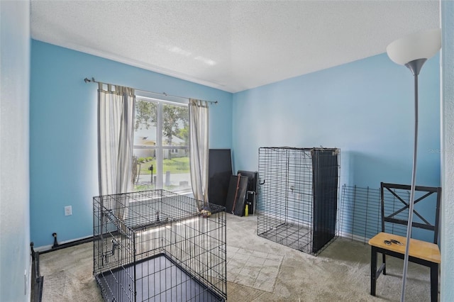 1305 Rebecca Dr, Haines City, FL 33844 - interior space featuring a textured ceiling