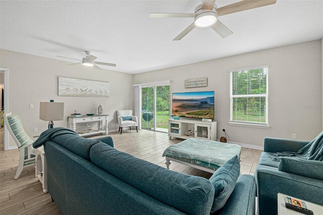 14 Zelda Ct, Palm Coast, FL 32164 - photo 5