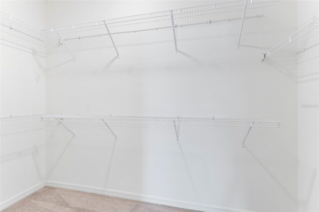 3 Oakleaf Way, Palm Coast, FL 32137 - walk in closet with carpet floors