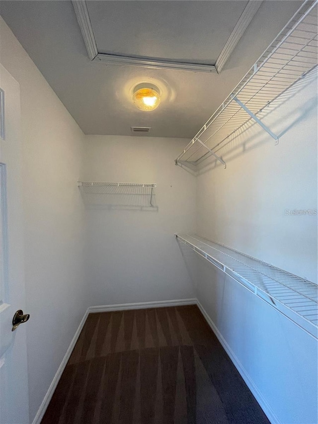 spacious closet featuring carpet floors