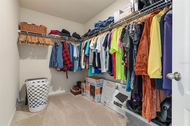 155 Redbud Rd, Palm Coast, FL 32137 - spacious closet featuring carpet