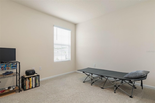 155 Redbud Rd, Palm Coast, FL 32137 - misc room with carpet flooring, healthy amount of natural light, and baseboards