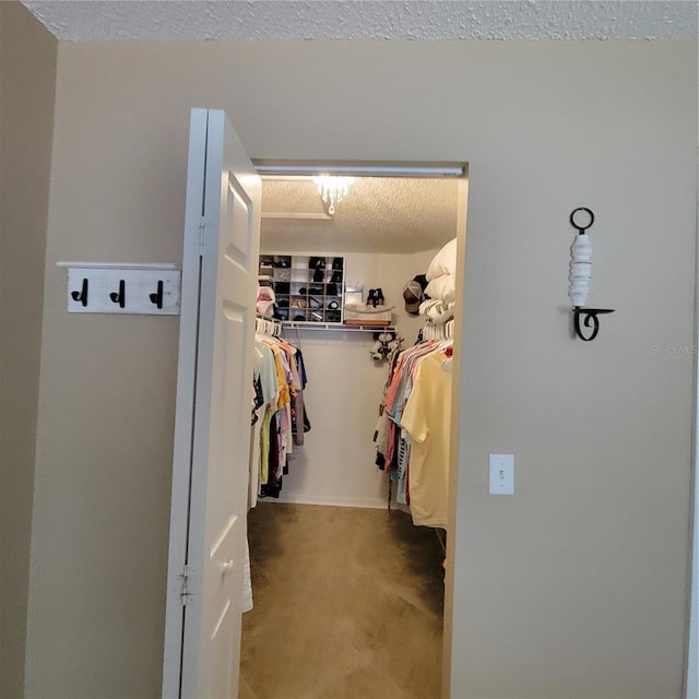spacious closet featuring carpet floors