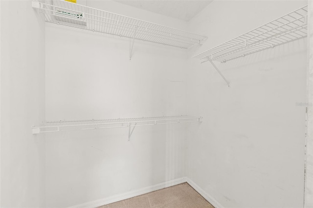 10 Eastwood Dr, Palm Coast, FL 32164 - view of walk in closet