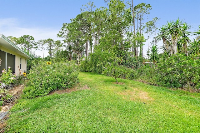 10 Eastwood Dr, Palm Coast, FL 32164 - view of grassy yard