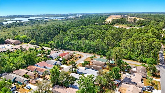 120 Oak Ln, Flagler Beach, FL 32136 - aerial view of property's location featuring a forest, nearby suburban area, and a nearby body of water