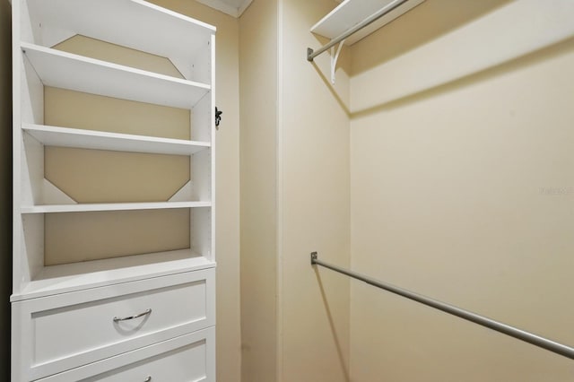 1819 S Flagler Ave, Flagler Beach, FL 32136 - view of spacious closet