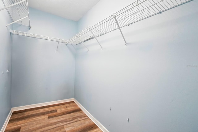 7029 N Ocean Shore Blvd, Palm Coast, FL 32137 - spacious closet with wood finished floors