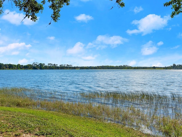 37918 N County Road 44a, Eustis, FL 32736 - photo 68