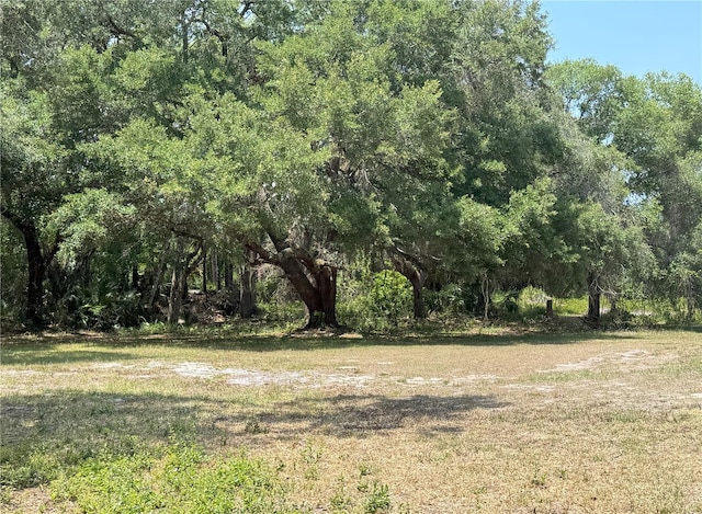 486 S US Highway 1, Oak Hill, FL 32759 - view of nature
