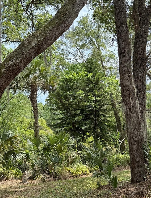 486 S US Highway 1, Oak Hill, FL 32759 - view of undeveloped land