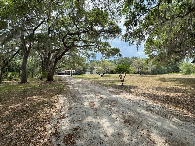 486 S US Highway 1, Oak Hill, FL 32759 - view of dirt / gravel driveway