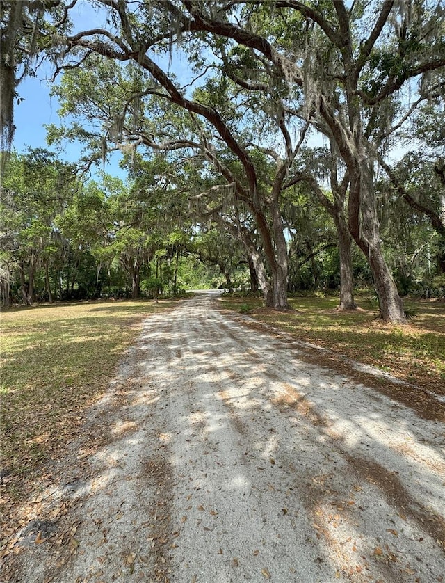 486 S US Highway 1, Oak Hill, FL 32759 - view of dirt / gravel road