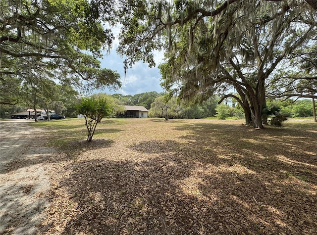 486 S US Highway 1, Oak Hill, FL 32759 - view of yard