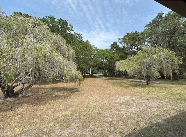 486 S US Highway 1, Oak Hill, FL 32759 - view of yard
