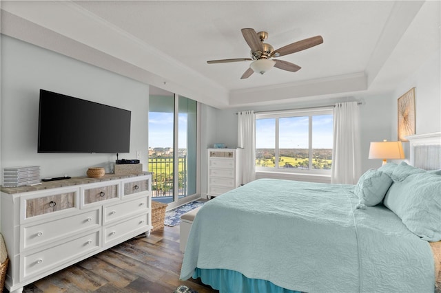 bedroom with access to outside, dark wood finished floors, multiple windows, and a raised ceiling
