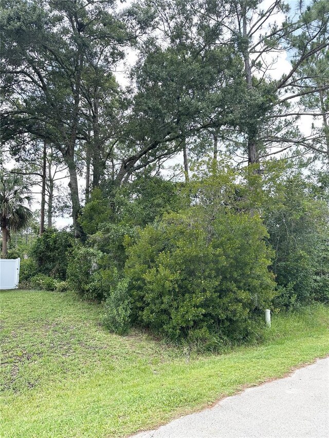 26 Woodbury Dr, Palm Coast, FL 32164 - photo 47