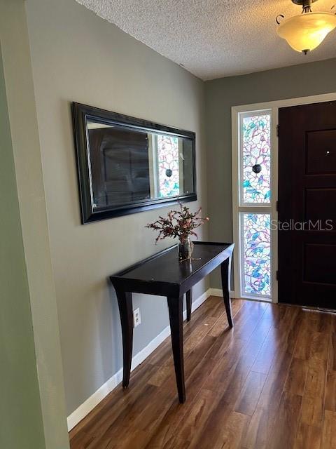 1 Belvedere Ln, Palm Coast, FL 32137 - entrance foyer featuring a textured ceiling and dark wood-type flooring