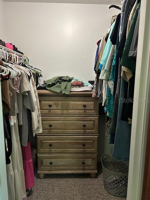 1 Belvedere Ln, Palm Coast, FL 32137 - spacious closet featuring dark carpet