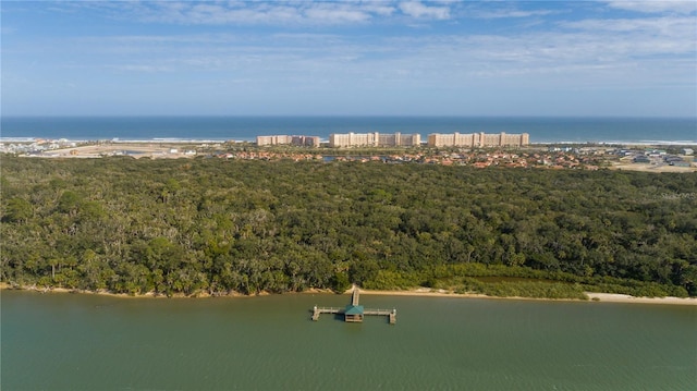 bird's eye view of a large body of water and a forest