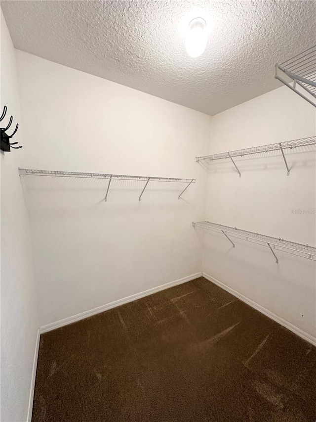 15 Ruth Dr, Palm Coast, FL 32164 - walk in closet featuring dark colored carpet