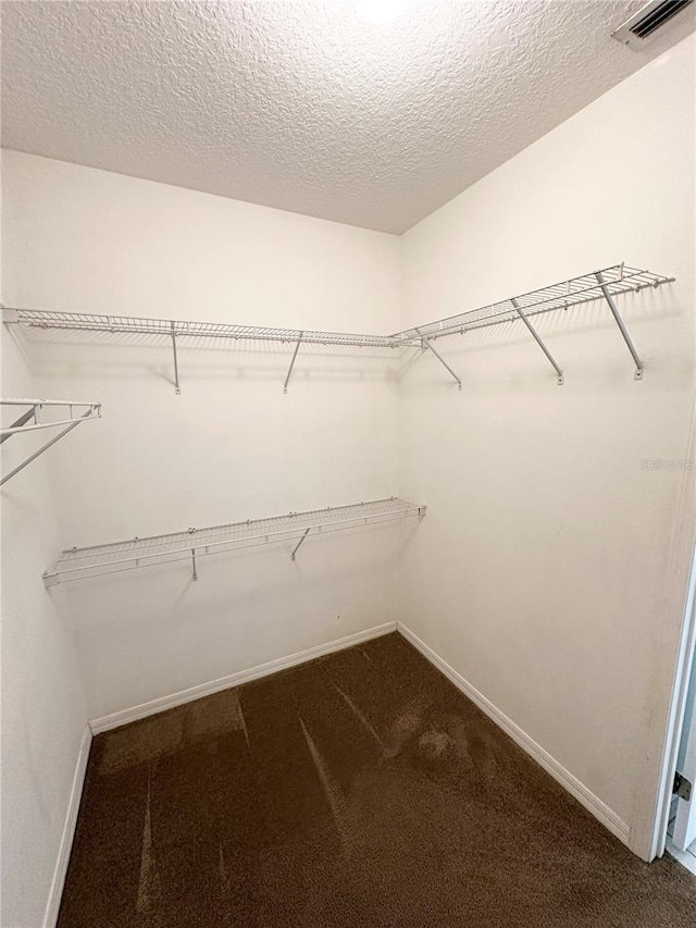 15 Ruth Dr, Palm Coast, FL 32164 - spacious closet featuring dark carpet