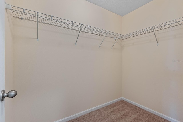 25 Red Top Ln, Palm Coast, FL 32164 - walk in closet featuring carpet
