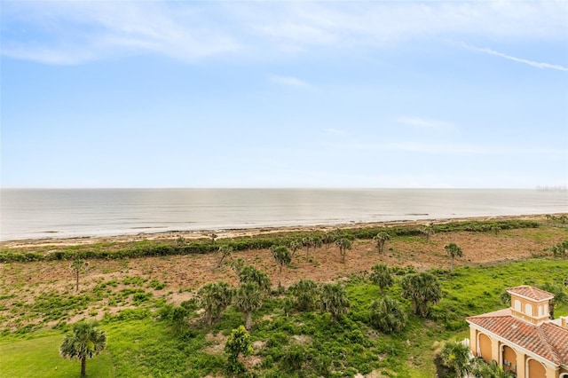 80 Surfview Dr Unit 718, Palm Coast, FL 32137 - water view with local beach