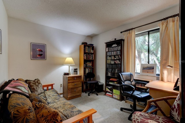 carpeted office space with a textured ceiling