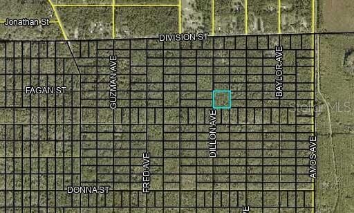 000 Dillon Ave, Hastings, FL 32145