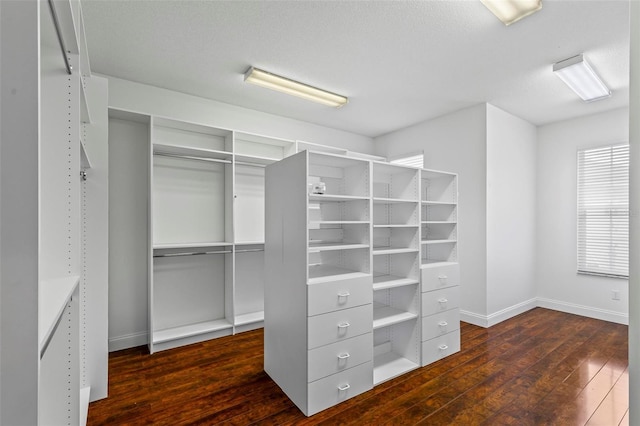 spacious closet featuring dark wood-type flooring