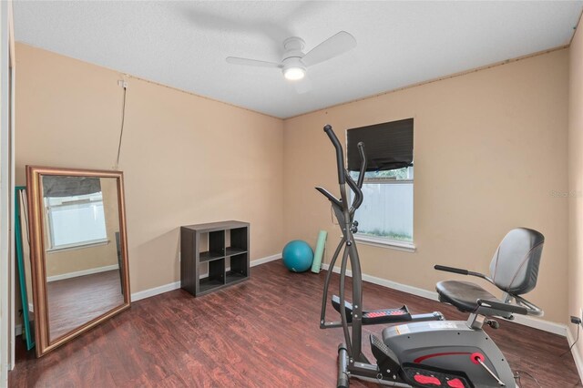 3208 Ginny Lake Dr, Middleburg, FL 32068 - photo 42