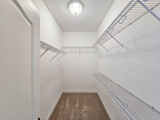 71 N Riverwalk Dr, Palm Coast, FL 32137 - spacious closet with carpet flooring