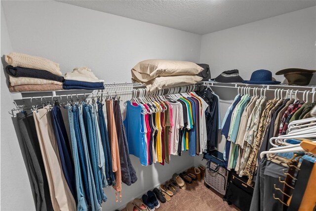 9 Waldron Pl, Palm Coast, FL 32164 - walk in closet featuring carpet flooring