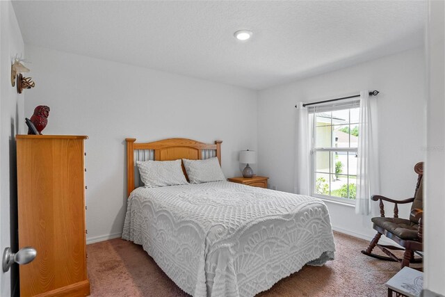 9 Waldron Pl, Palm Coast, FL 32164 - bedroom with carpet floors and baseboards