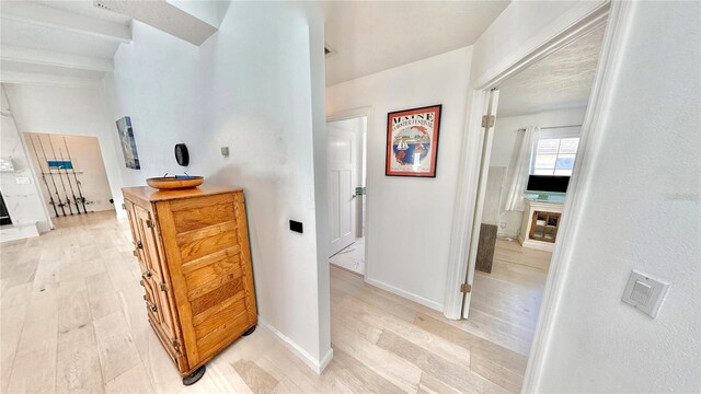 4 Cotton Ct, Palm Coast, FL 32137 - hallway with light wood finished floors and baseboards