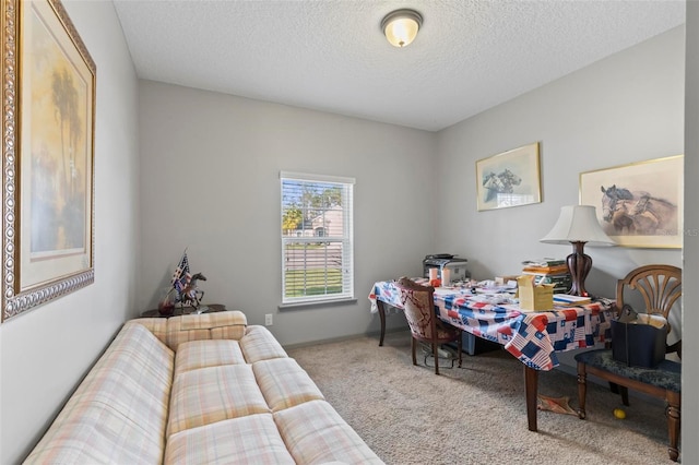 123 N Starling Dr, Palm Coast, FL 32164 - home office featuring carpet floors and a textured ceiling